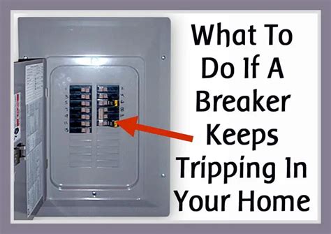 breaker on electrical box keeps tripping|why would a breaker trip.